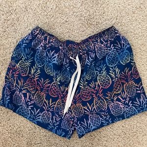 Chubbies The Full Spectrums 4" Stretch Swim Shorts Small